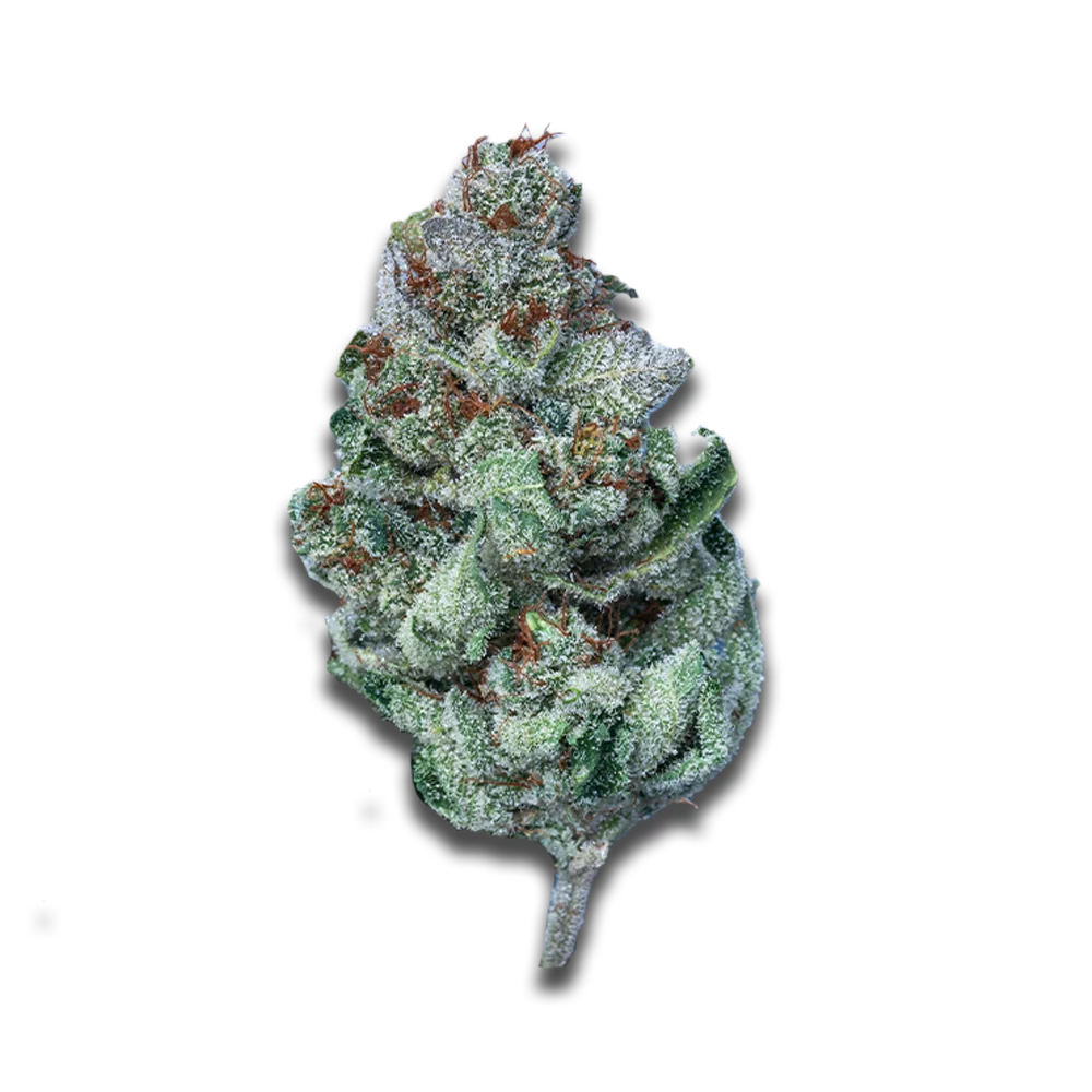 Produktbild 1