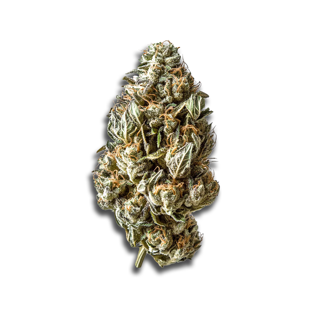Produktbild 1
