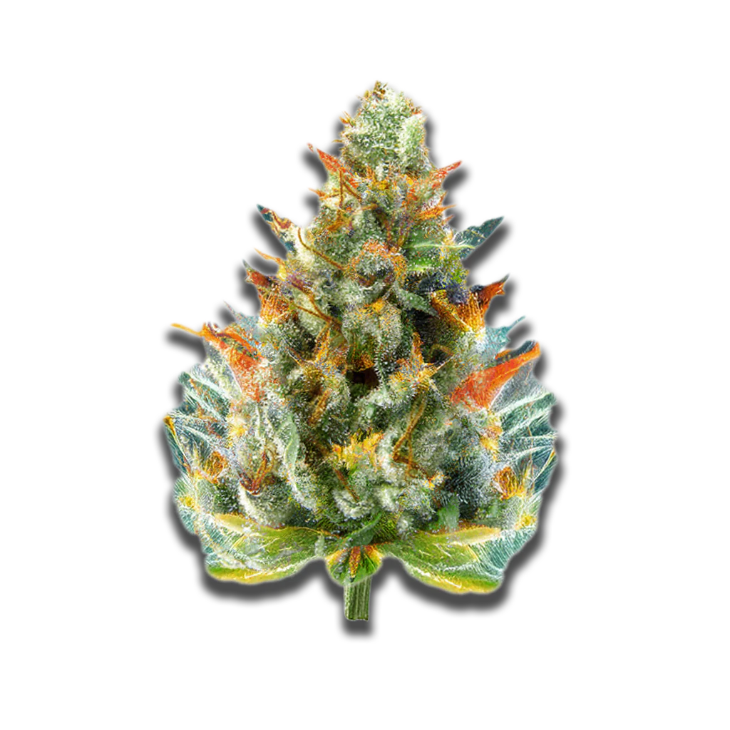 Produktbild 1