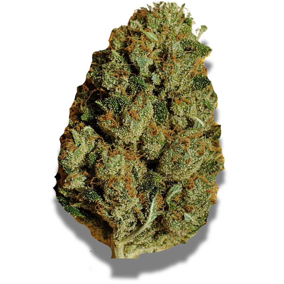 Produktbild 1
