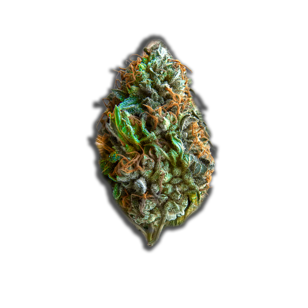 Produktbild 1
