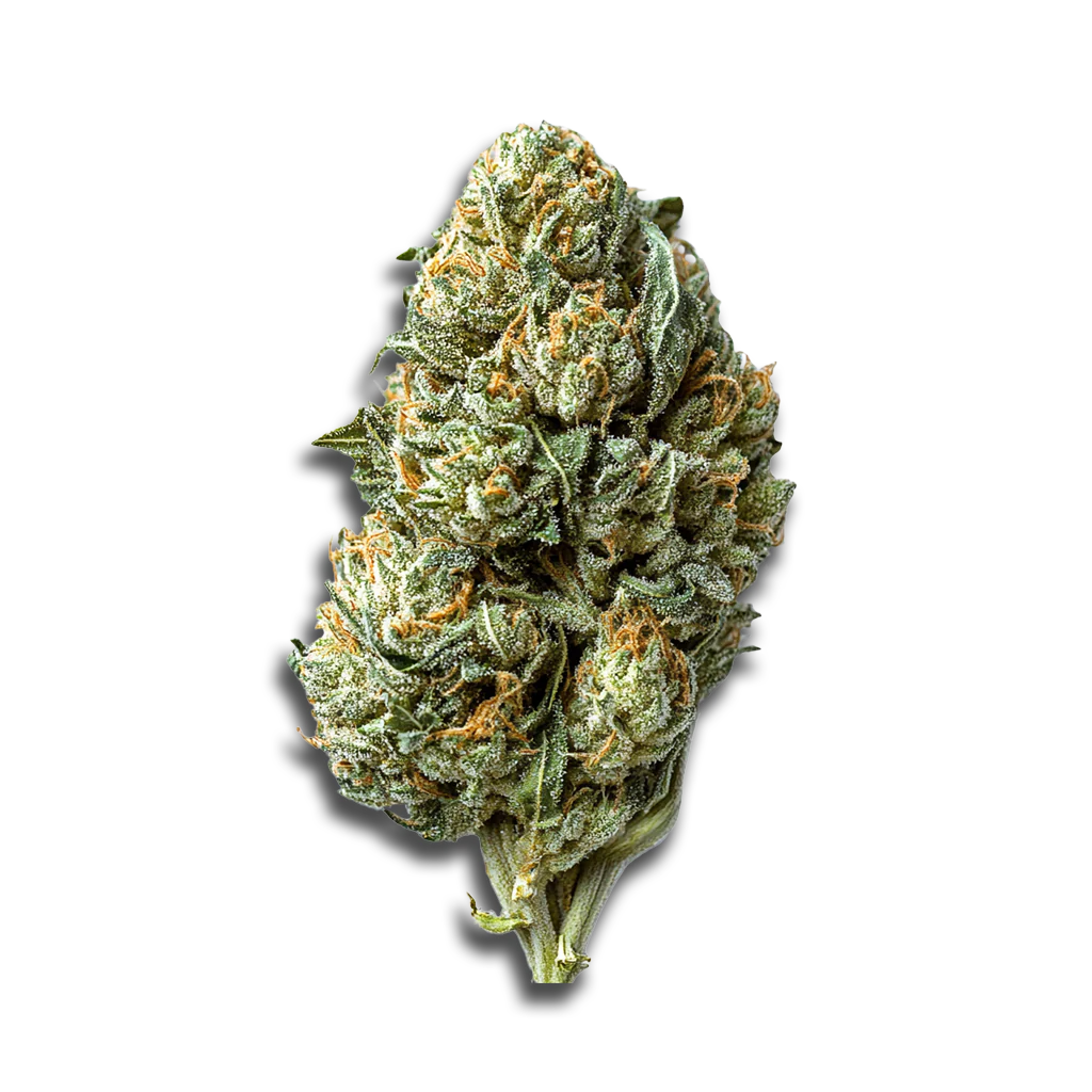 Produktbild 1